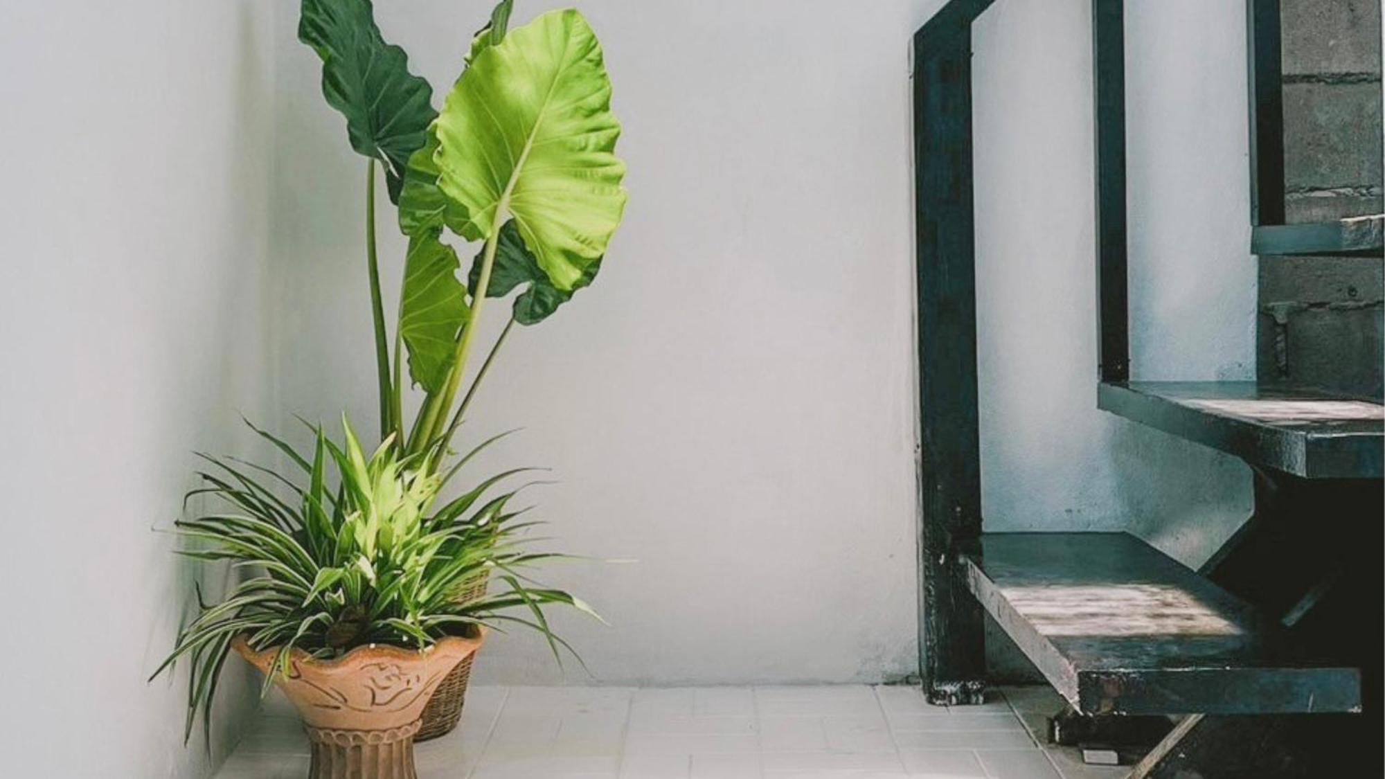 De Coco Hostel Koh Tao Exterior photo